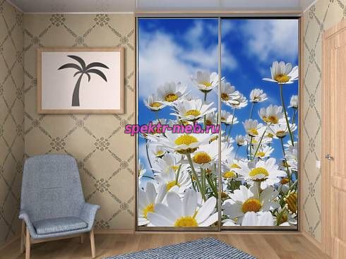 Шкаф-купе 4328