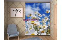 Шкаф-купе 4328