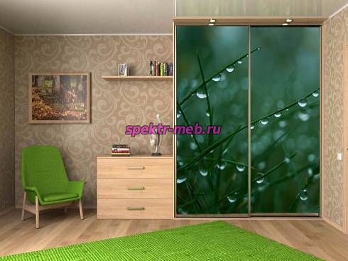 Шкаф-купе 4118