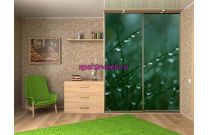 Шкаф-купе 4118