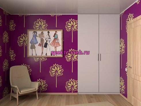 Распашной шкаф 30