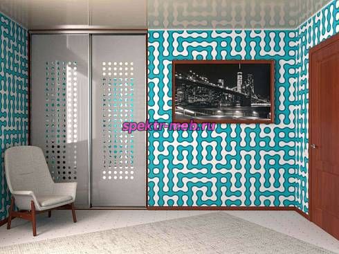 Шкаф-купе 3892