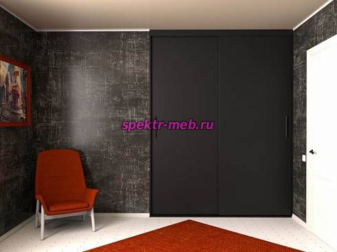 Шкаф-купе 30206