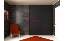 Шкаф-купе 30206