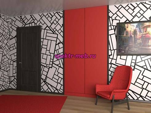 Распашной шкаф 24