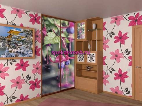 Шкаф-купе угловой Япония