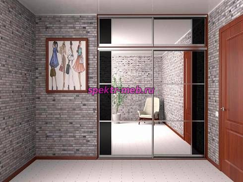 Шкаф-купе 3977