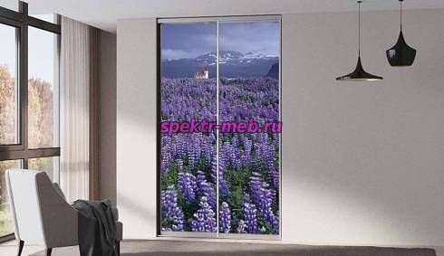 Шкаф-купе Z-177