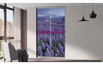 Шкаф-купе Z-177