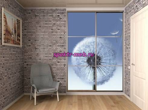 Шкаф-купе 21190