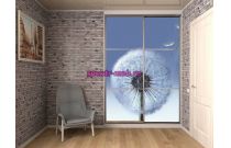 Шкаф-купе 21190