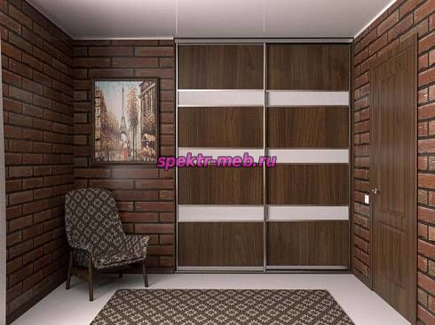 Шкаф-купе 4205