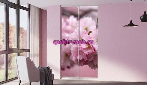 Шкаф-купе Z-284