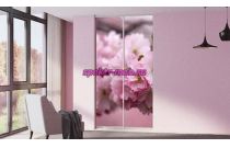 Шкаф-купе Z-284