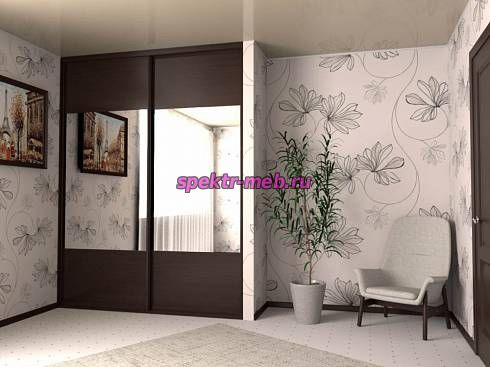 Шкаф-купе 4081