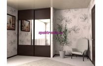 Шкаф-купе 4081