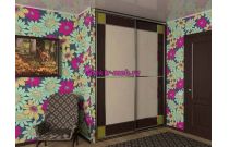 Шкаф-купе 23357