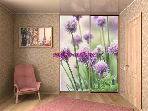 Шкаф-купе 01155