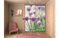 Шкаф-купе 01155