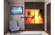 Шкаф-купе 01153