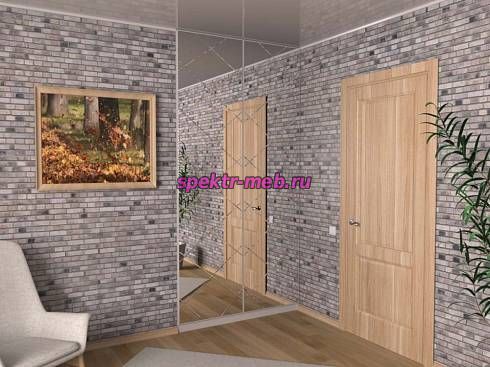 Распашной шкаф 1210