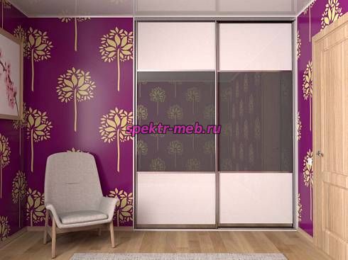 Шкаф-купе Нести