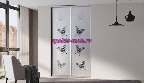 Шкаф-купе Z-233