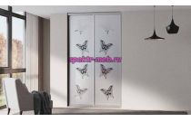 Шкаф-купе Z-233