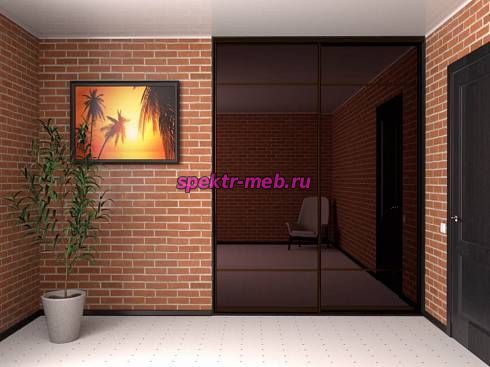 Шкаф-купе 4004