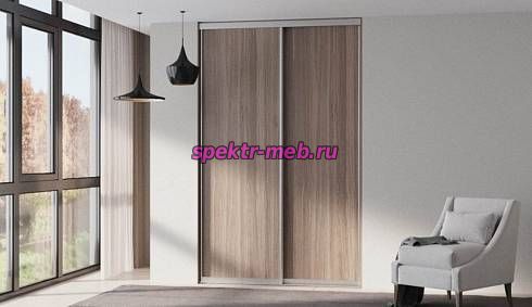 Шкаф-купе Молли 99