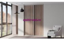 Шкаф-купе Молли 99