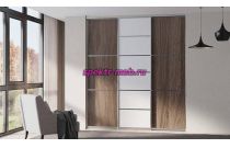 Шкаф-купе Клео 91