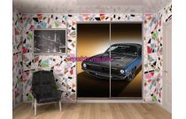 Шкаф-купе 9050