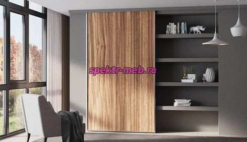 Шкаф-купе Долли 98