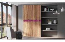 Шкаф-купе Долли 98