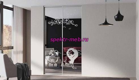 Шкаф-купе Z-287