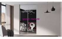 Шкаф-купе Z-287