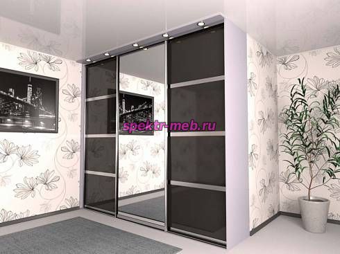 Шкаф-купе №213