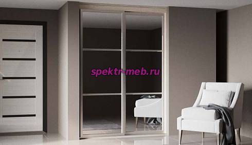 Шкаф-купе Гарри