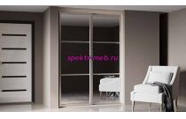 Шкаф-купе Гарри