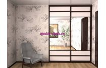 Шкаф-купе Вариант 118