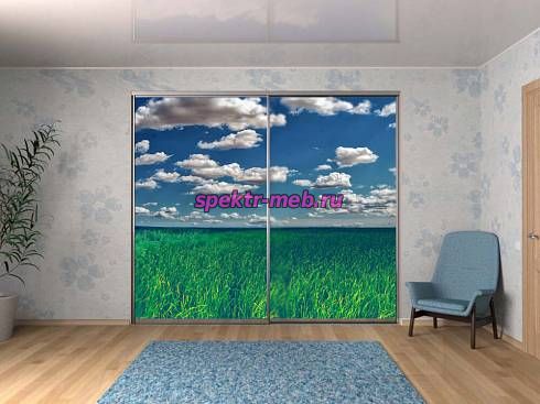 Шкаф-купе Скай