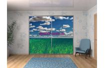 Шкаф-купе Скай