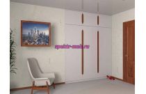 Распашной шкаф 6