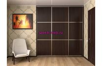 Шкаф-купе 31456