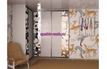 Шкаф-купе 399311