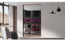 Шкаф-купе Z-186