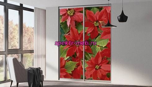 Шкаф-купе № 45