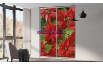 Шкаф-купе № 45