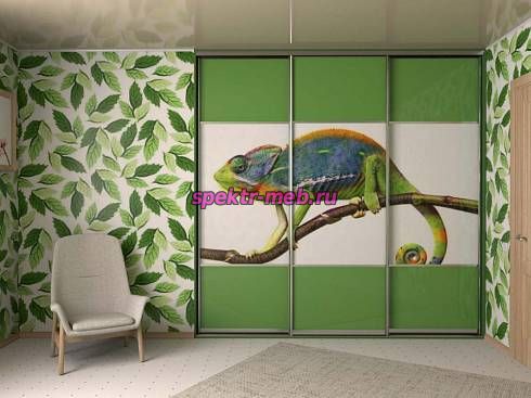 Шкаф-Купе SN2